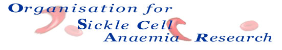 OSCAR banner